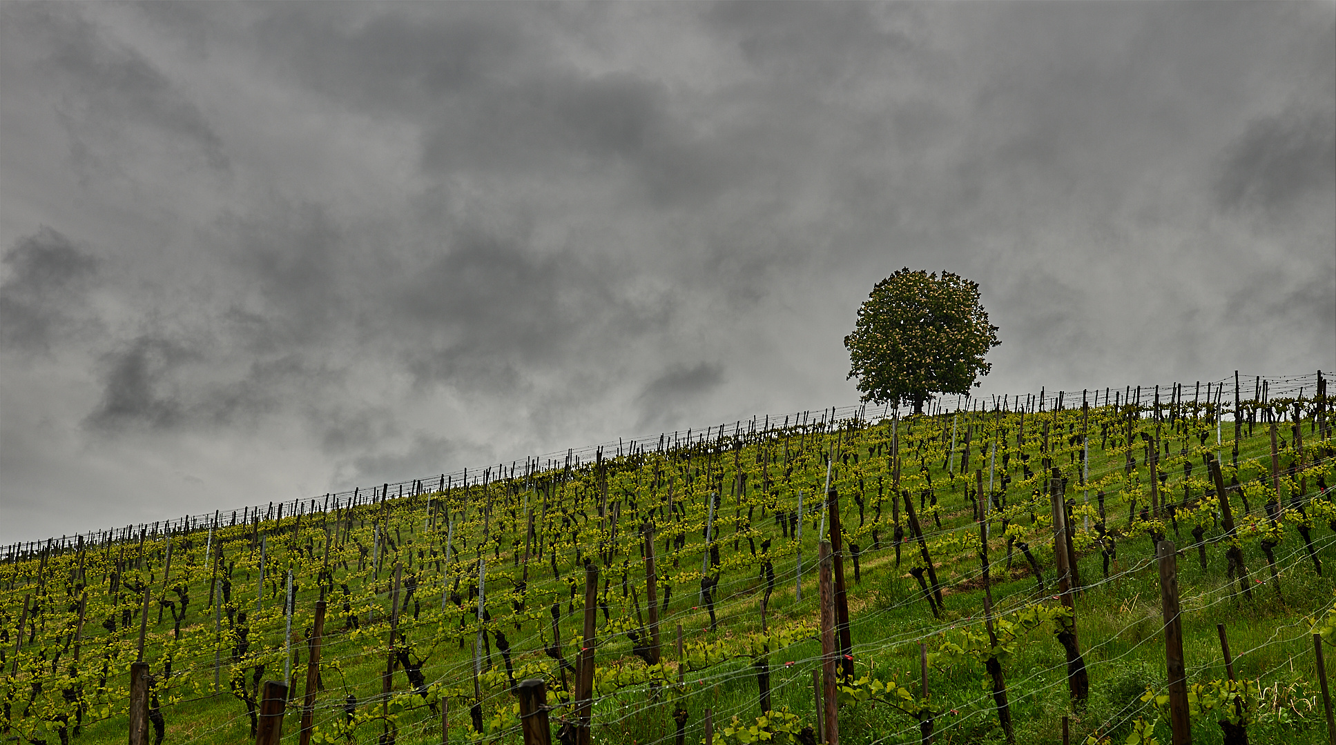 Dem Wetter trotzen, sehr wasserlastig war unser Fototreffen, 2 von 3 Tagen... 