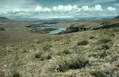 Dem Wind ausgesetzt - Patagonien hautnah