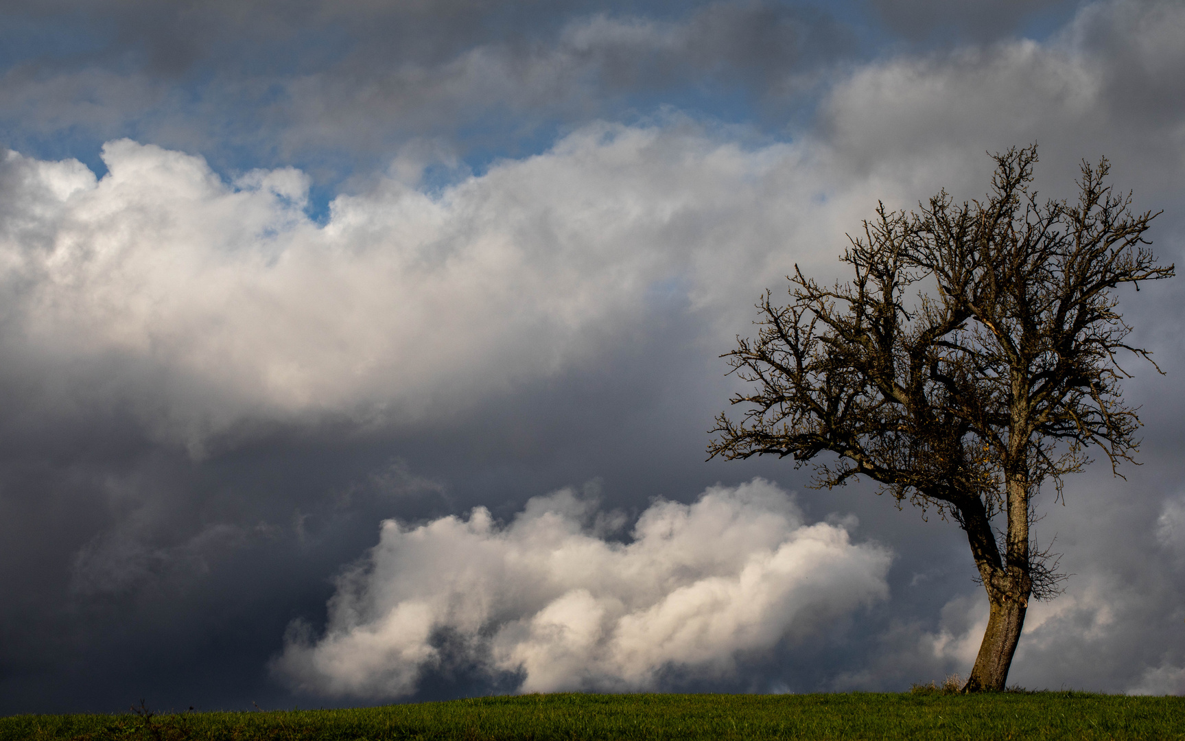 Dem Wind entgegen