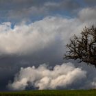 Dem Wind entgegen