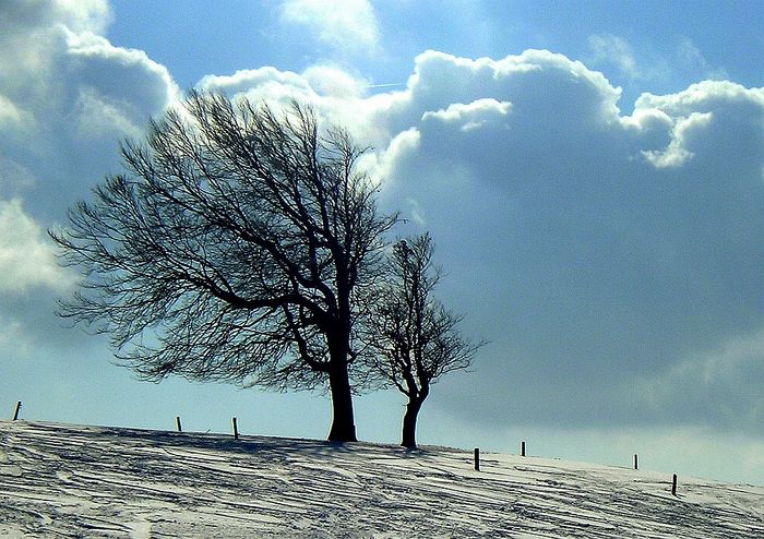 Dem Wind getrotzt