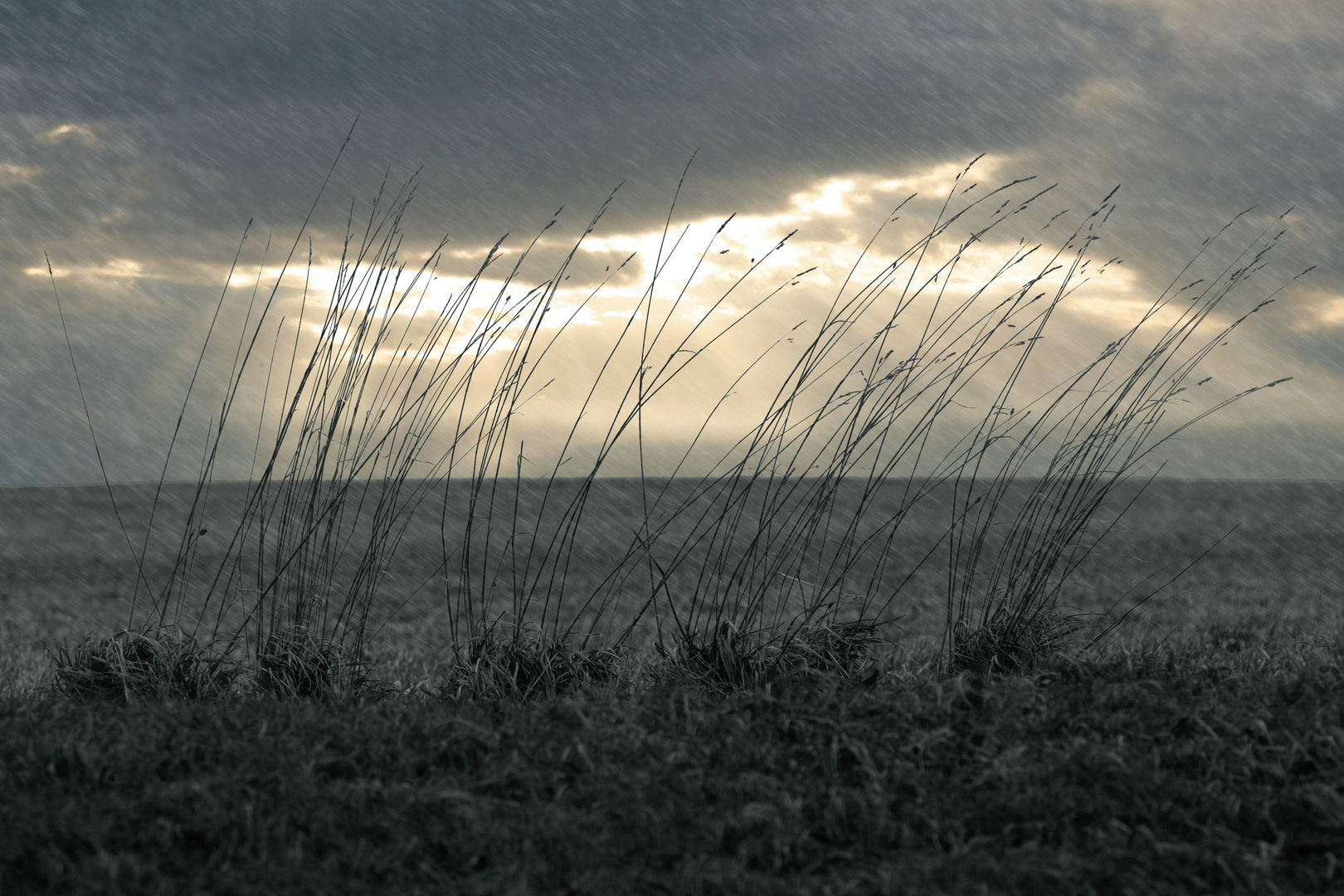 Dem Wind und Regen ausgesetzt