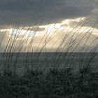 Dem Wind und Regen ausgesetzt