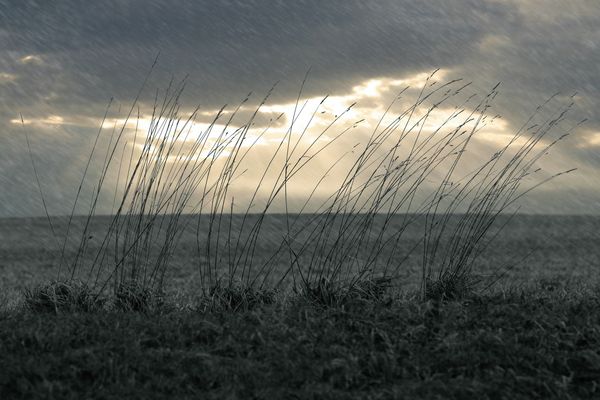 Dem Wind und Regen ausgesetzt