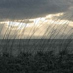 Dem Wind und Regen ausgesetzt