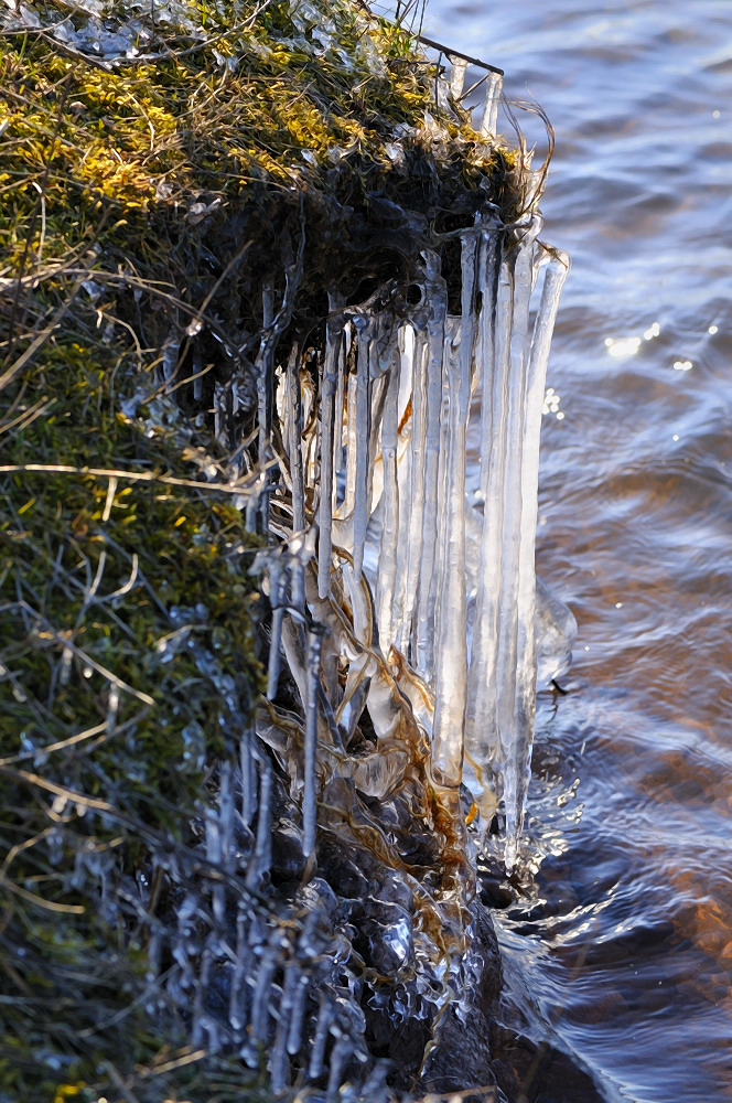 Dem Winter die Zähne zeigen