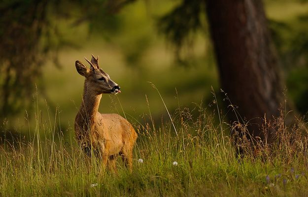 Dem Winter die Zunge rausstreck :-)