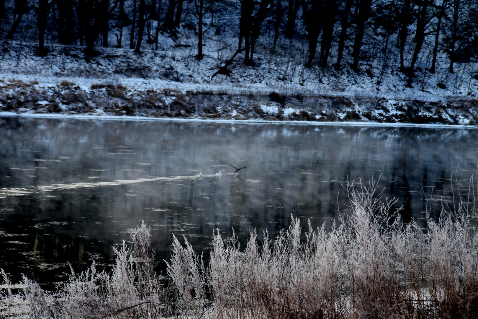 Dem Winter entfliehen