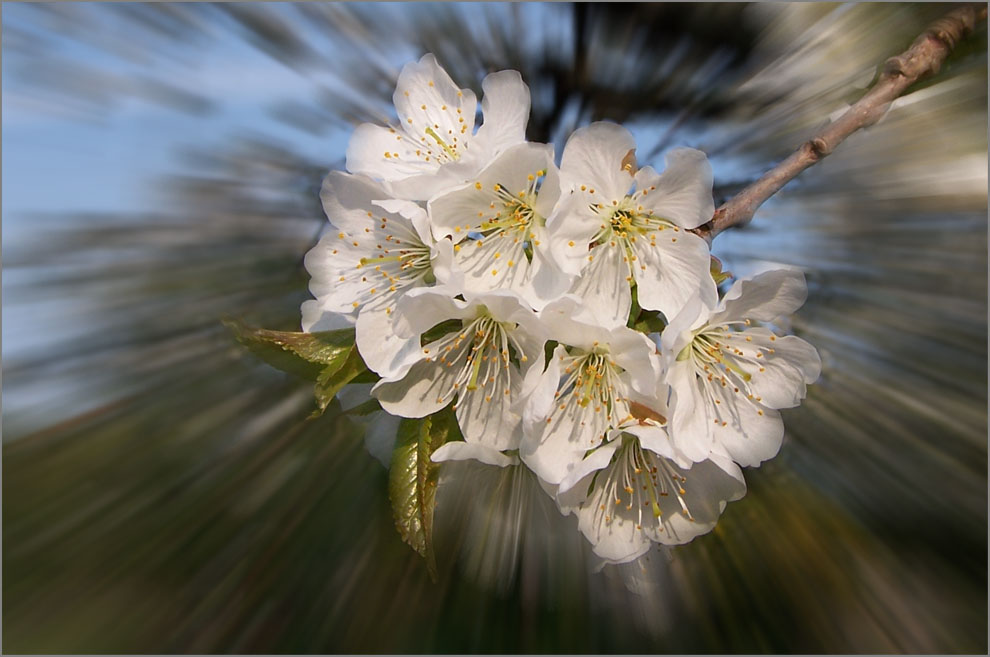 Dem Winter folgt der Frühling