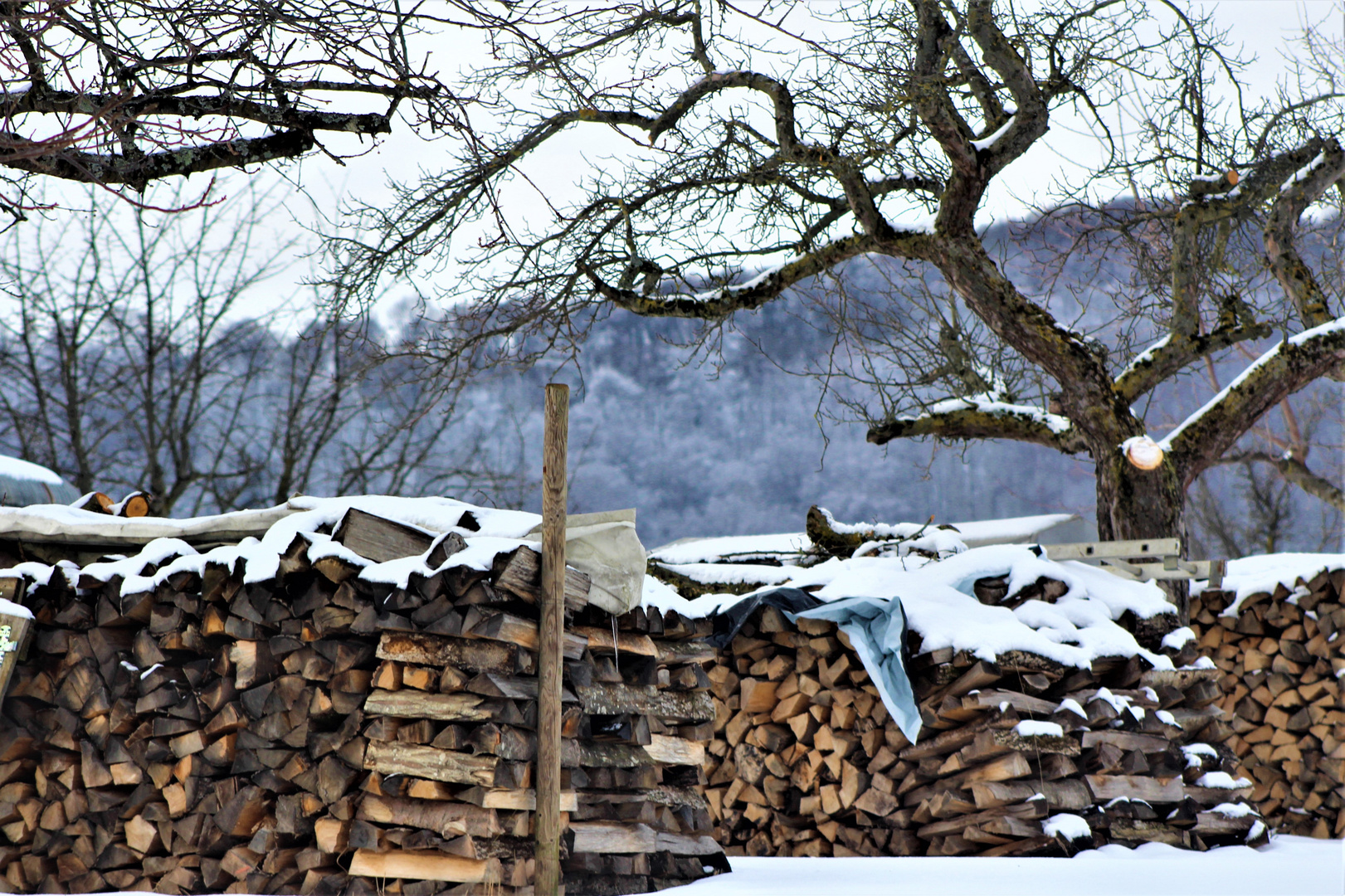 dem Winter hinterher gefahren , 