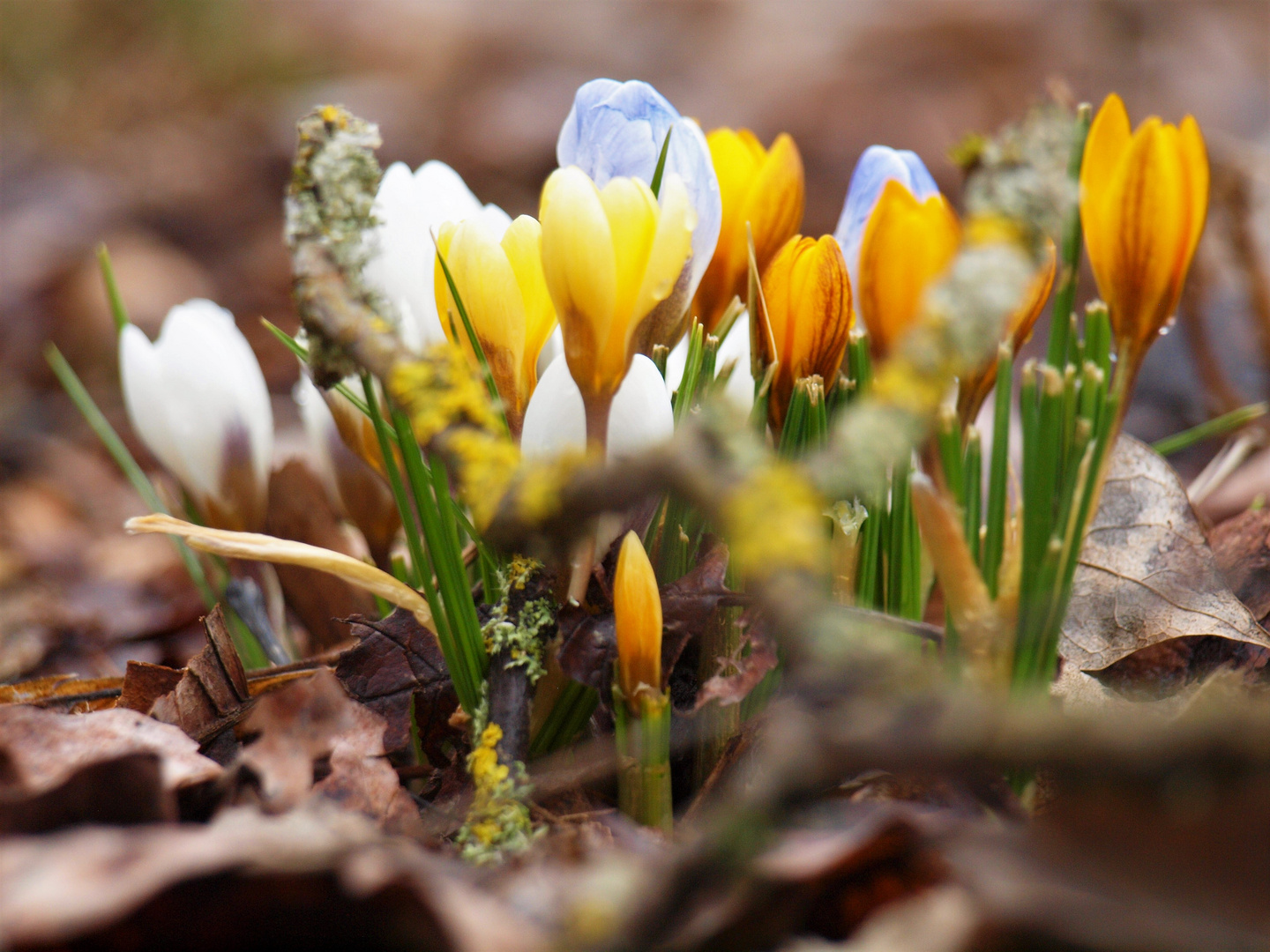 Dem Winter zum Trotz