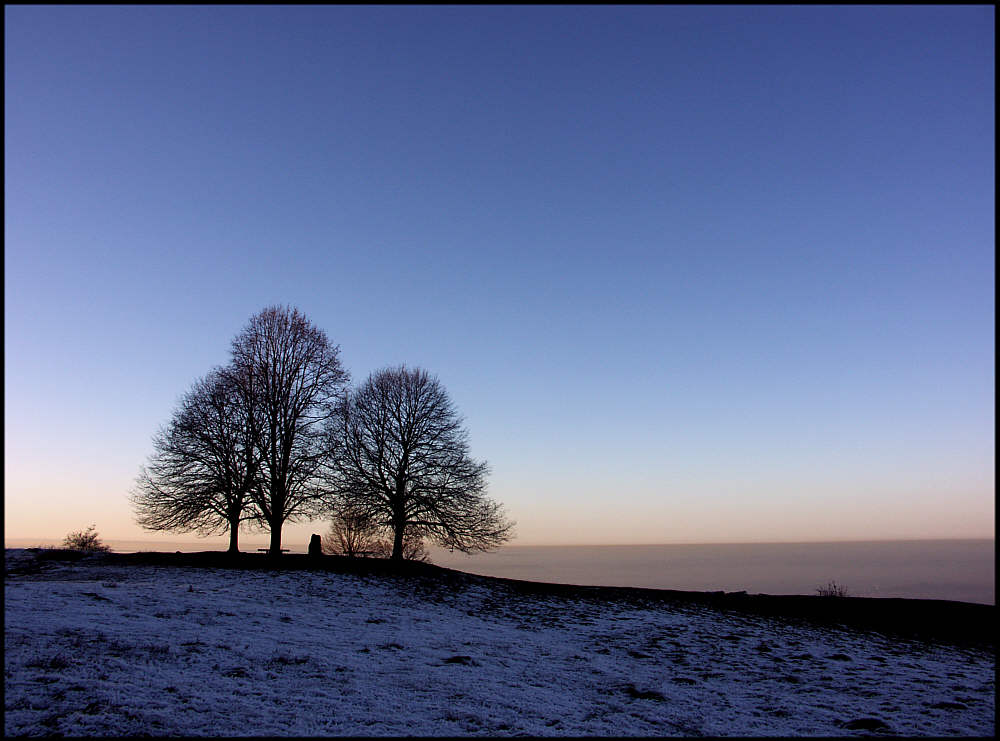 dem Winterabend nahe