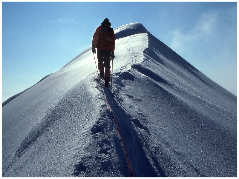 Dem Ziel entgegen: Parrotspitze 4436 m