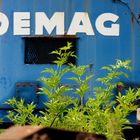 DEMAG