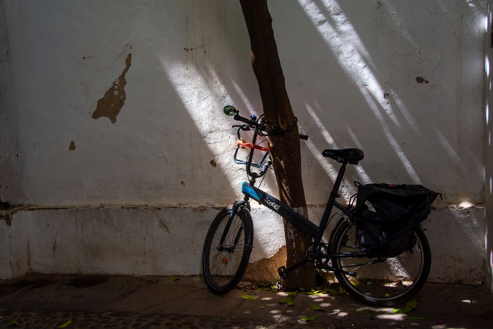 Demain il va faire beau, n'oubliez pas votre vélo