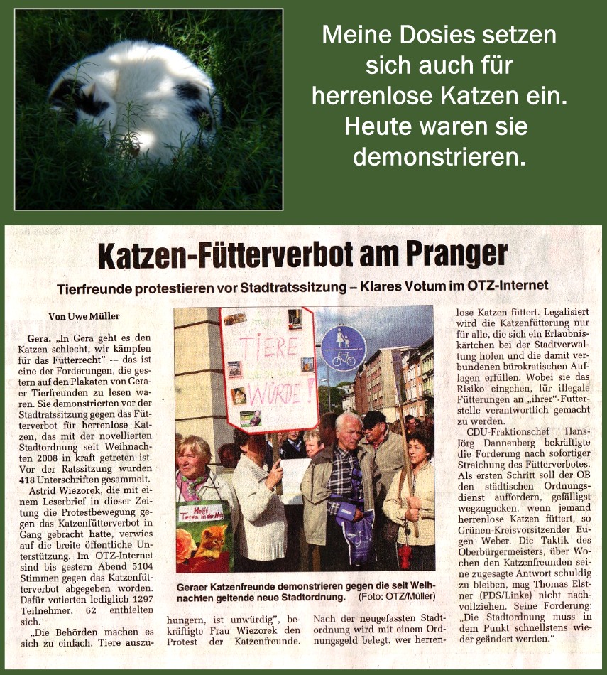 Demo gegen das Fütterverbot von herrenlosen Katzen