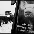 Demo im Schneesturm