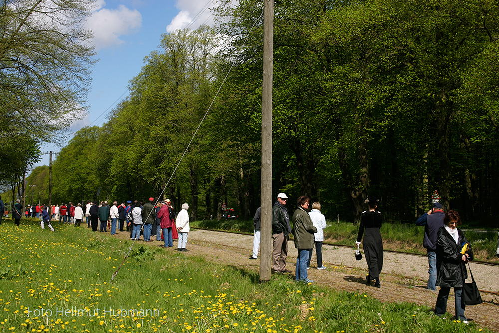 DEMO IM WALDE?