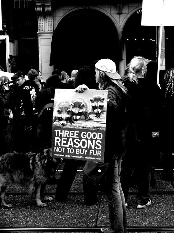 Demo in Amsterdam