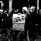 Demo in Amsterdam