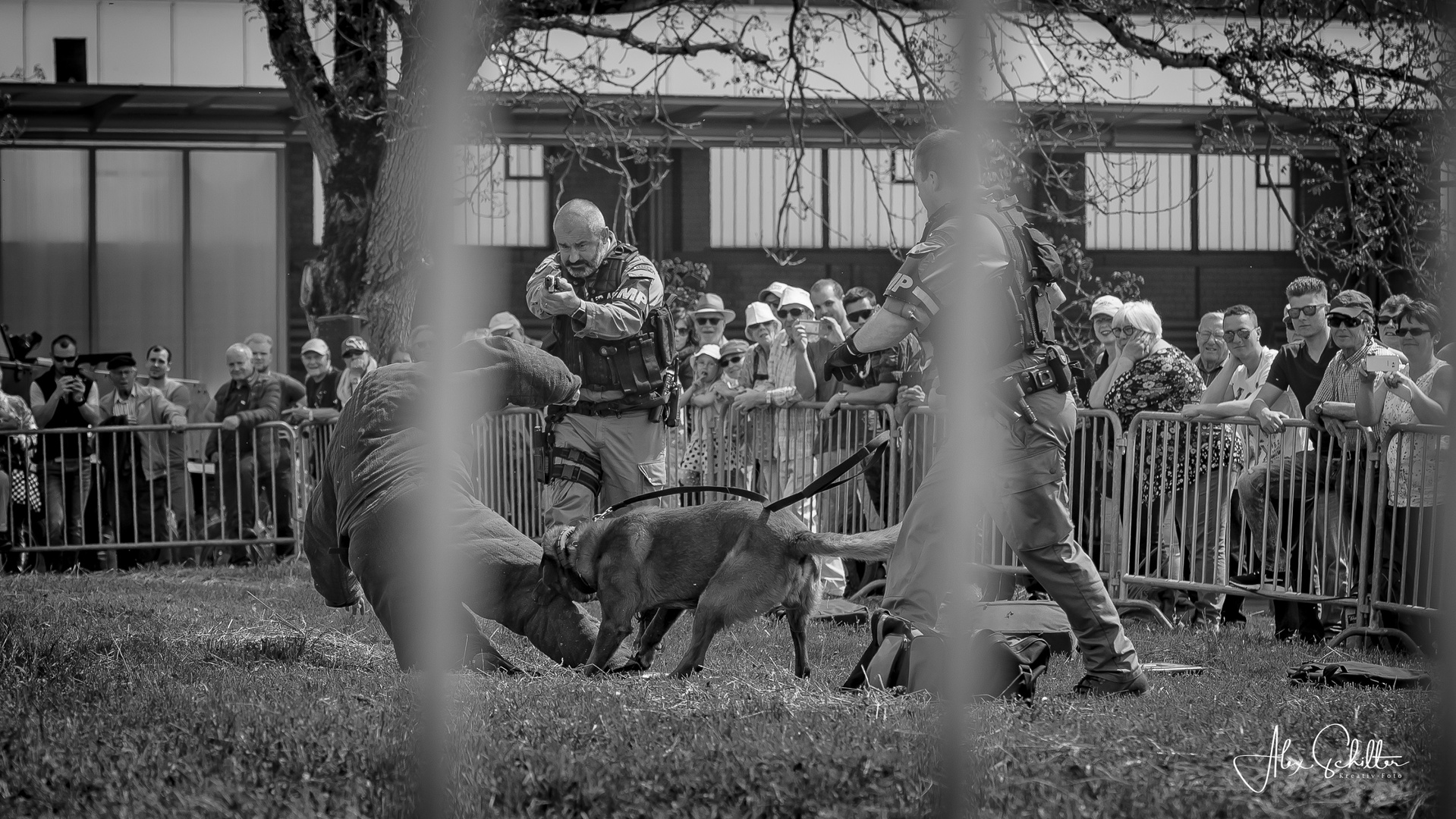 "...Demo MP Guard Dog of the Swiss Army..."