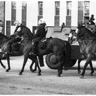 Demonstrationen und Pferde