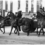 Demonstrationen und Pferde