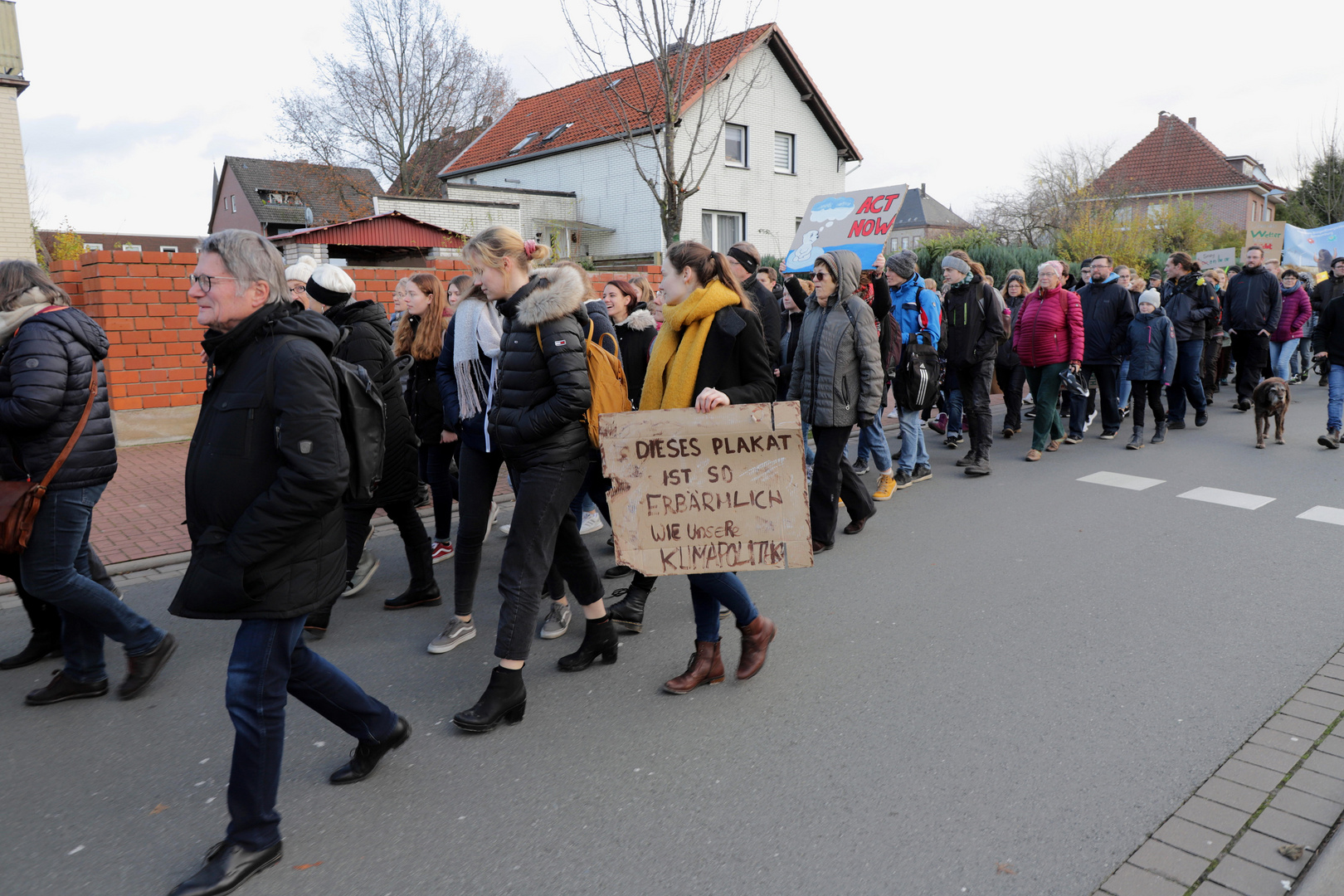 demonstrationszug