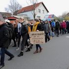 demonstrationszug