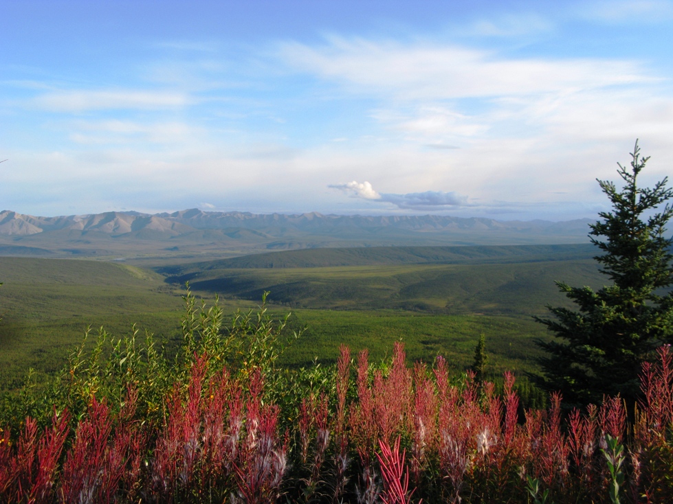 Dempster Highway 2