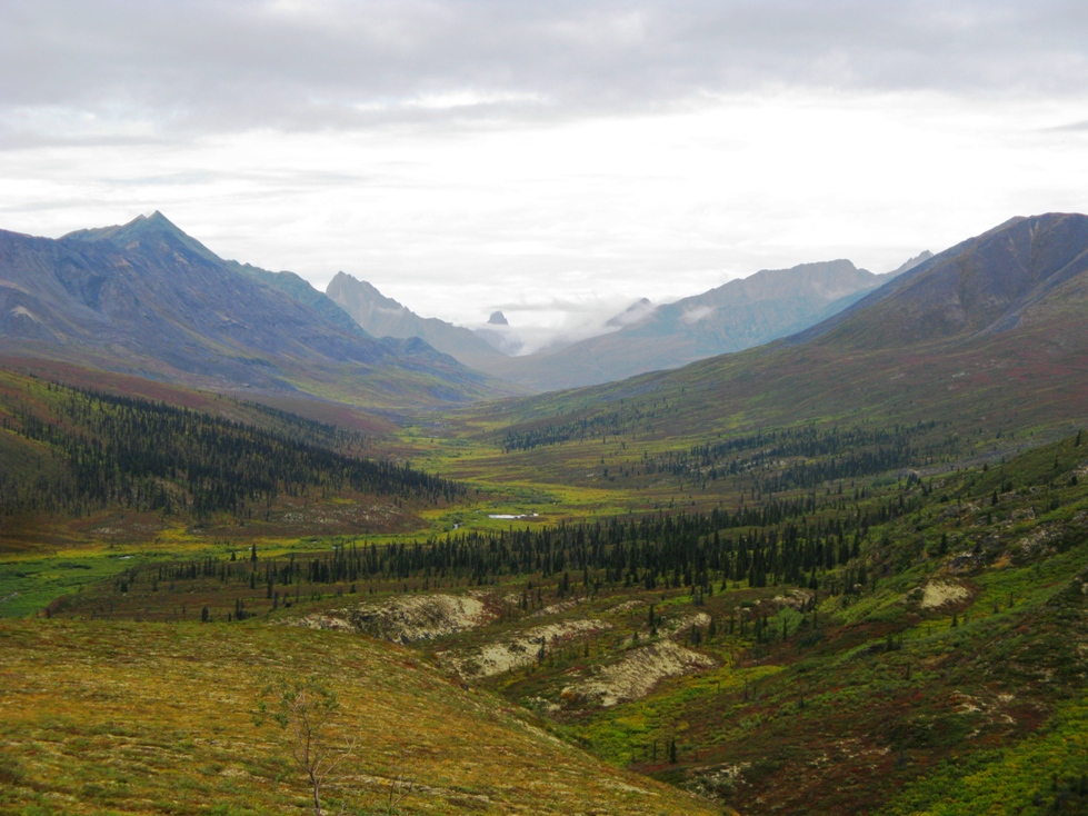 Dempster Highway 4