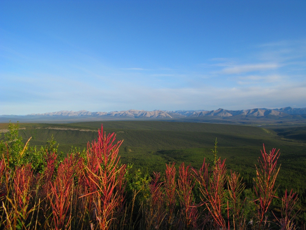 Dempster Highway 5