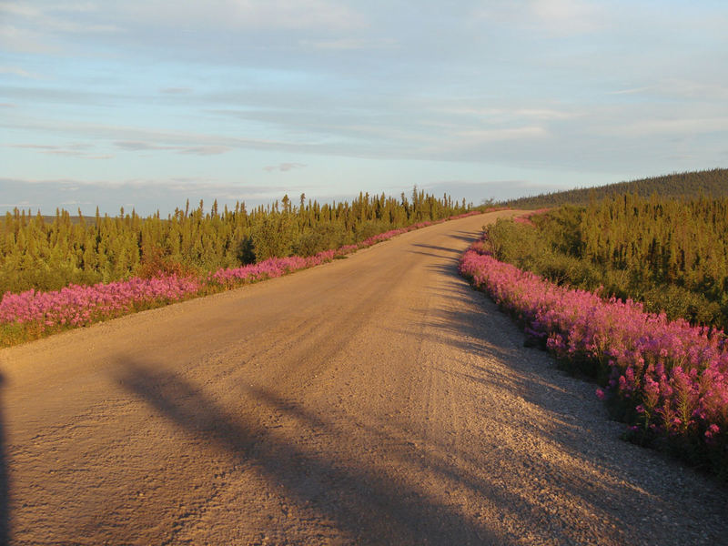 Dempster Hyw. Alaska