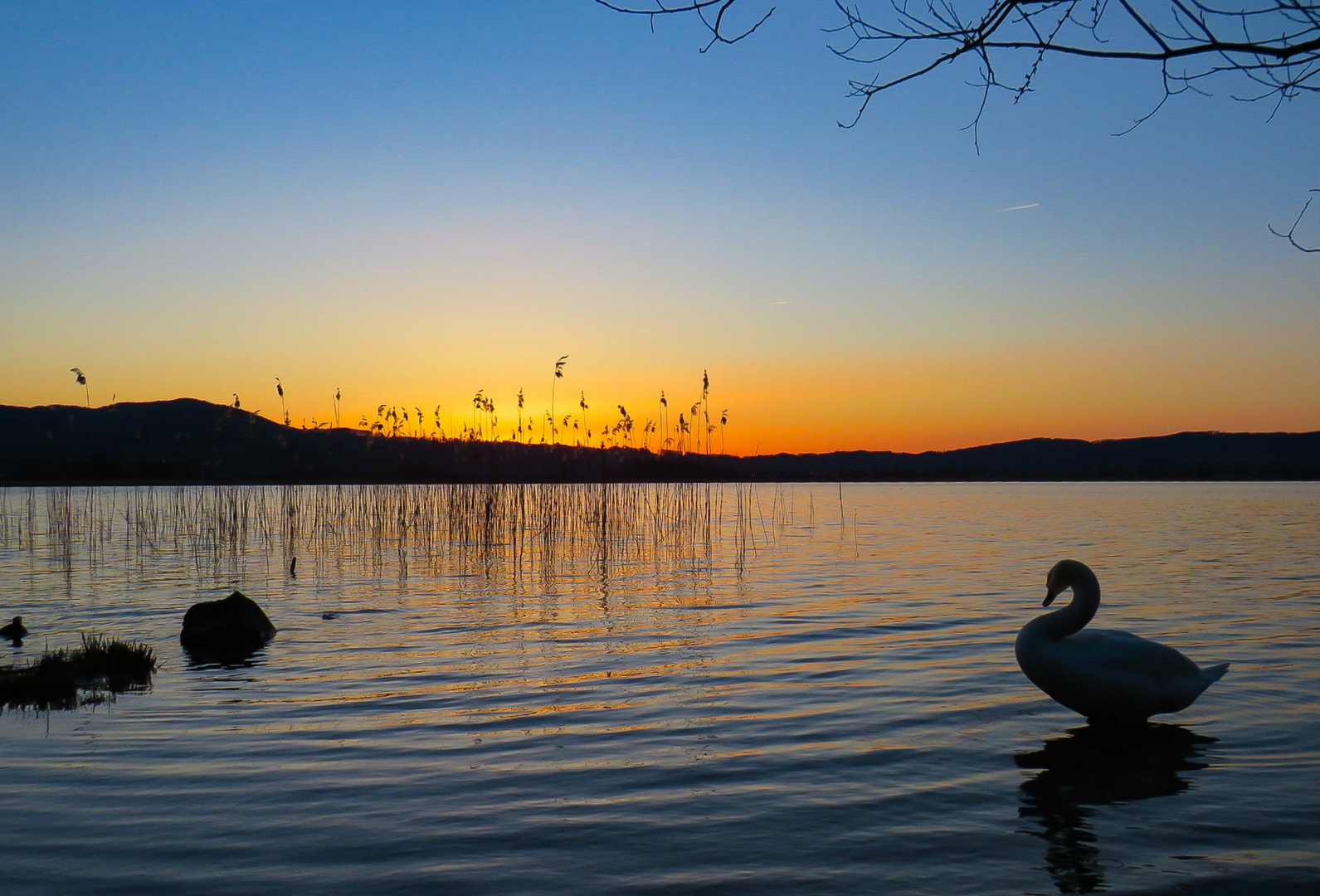 Den Abend am See ausklingen lassen