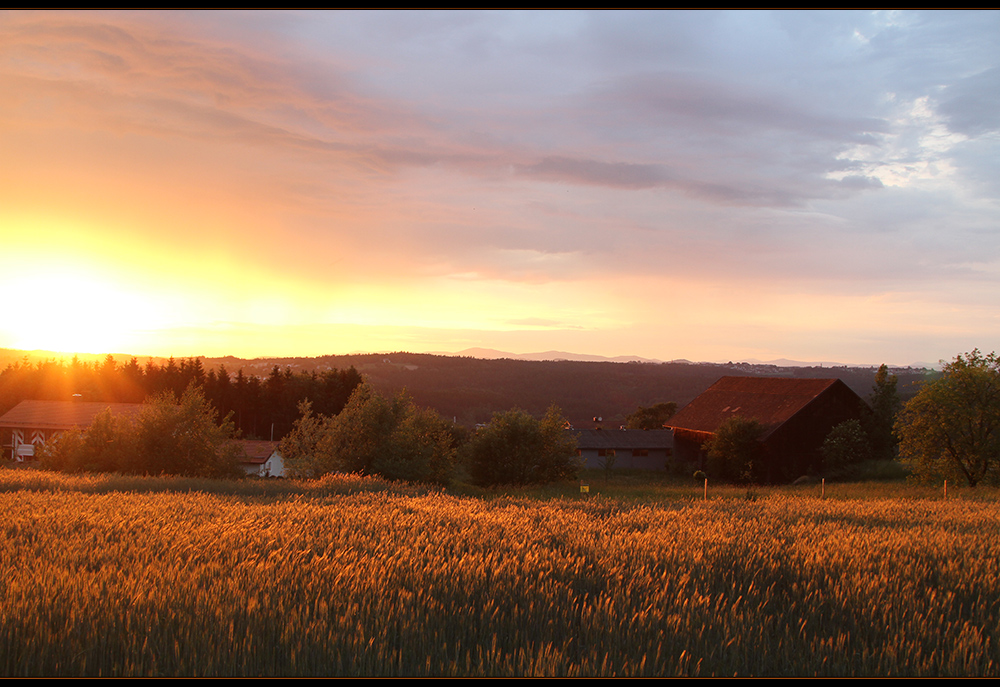 den Abend ausklingen lassen...