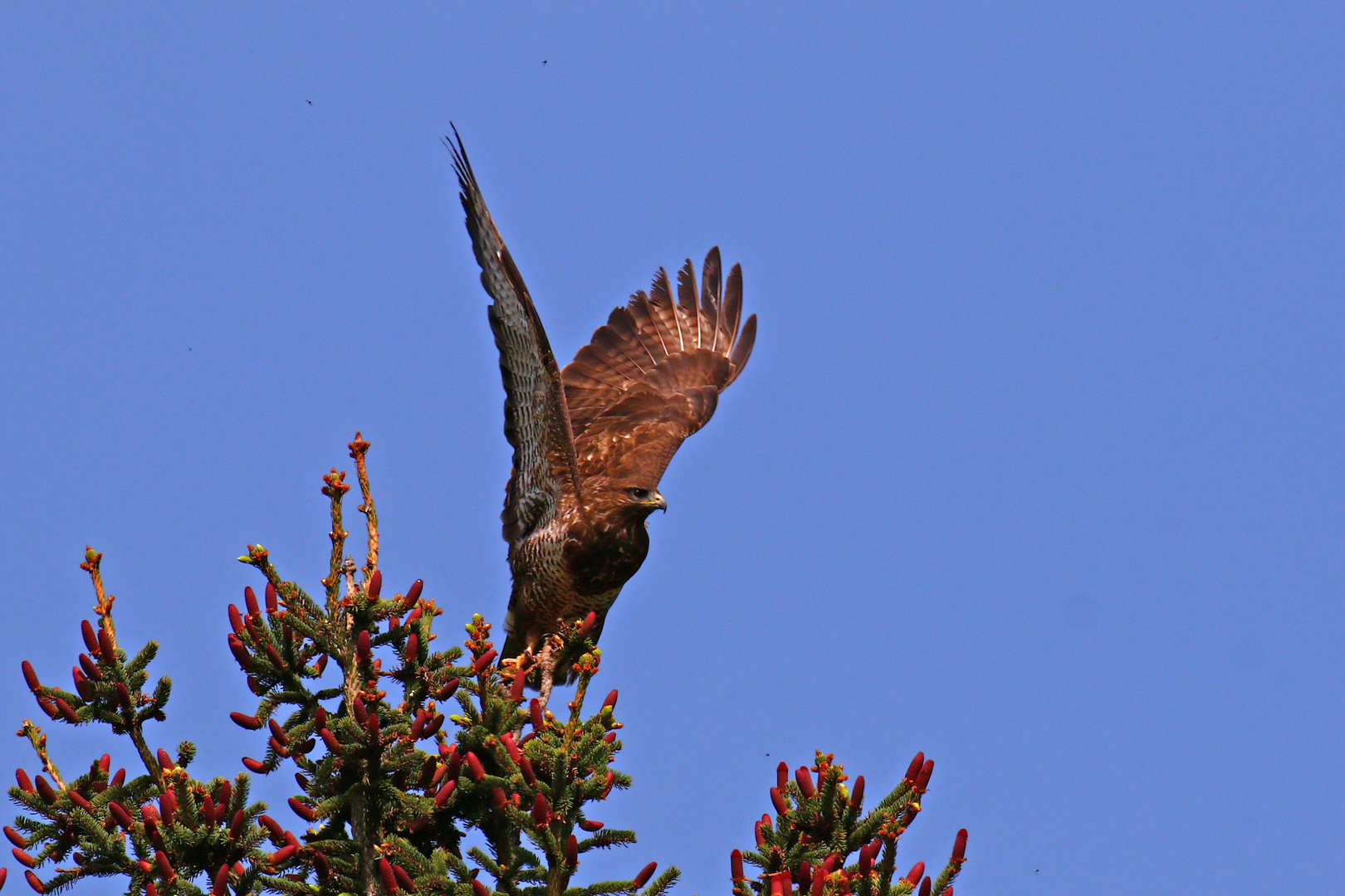 Den Abflug