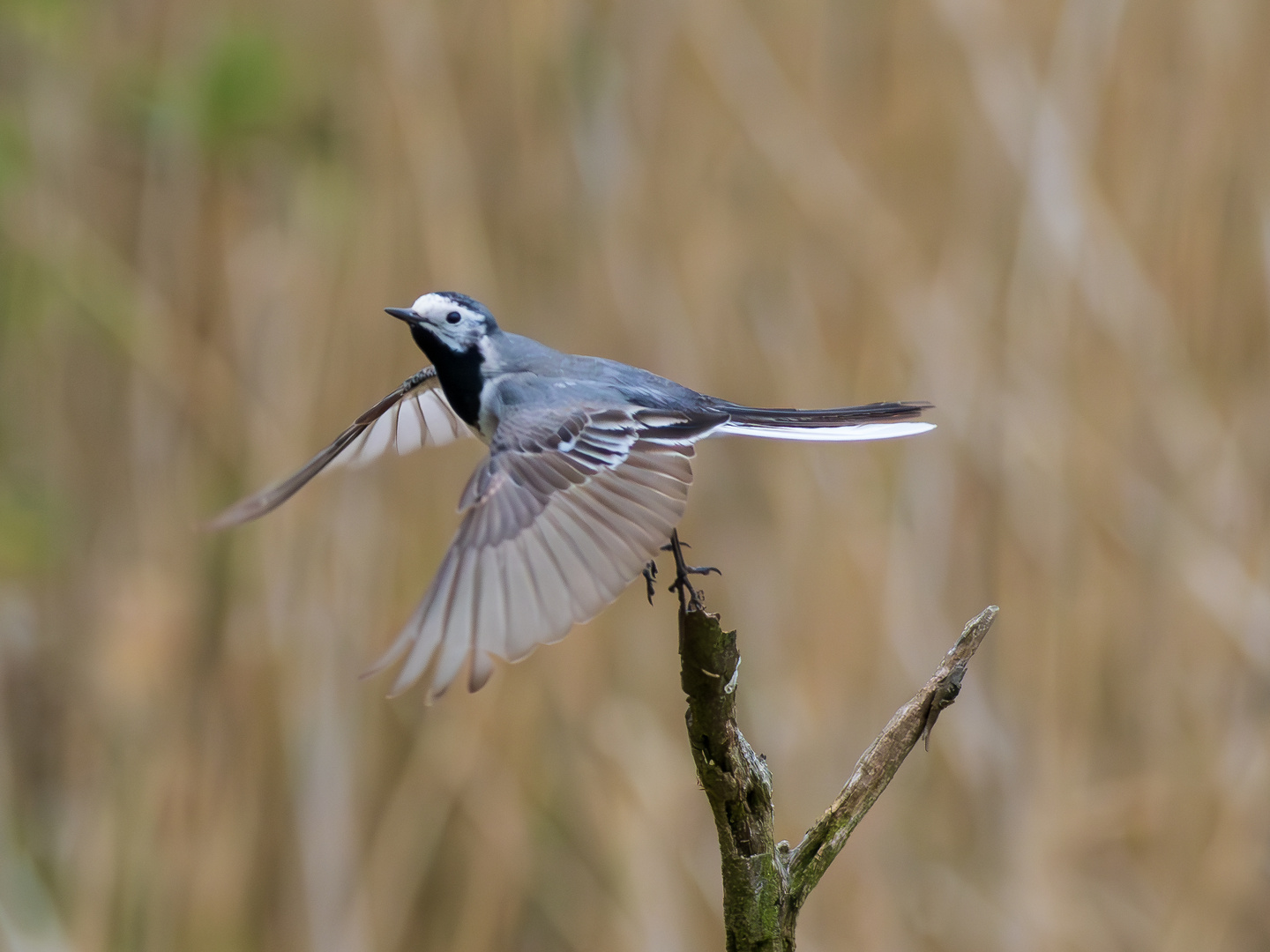 Den Abflug machen…