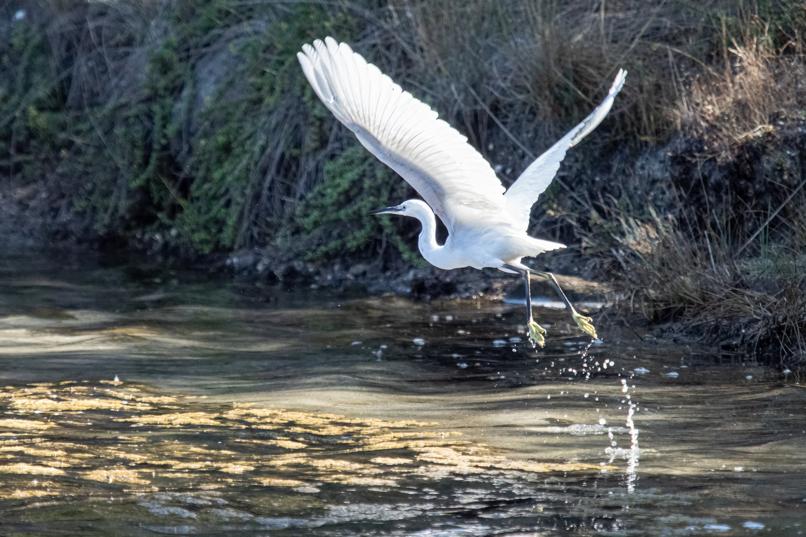 Den Abflug machen …