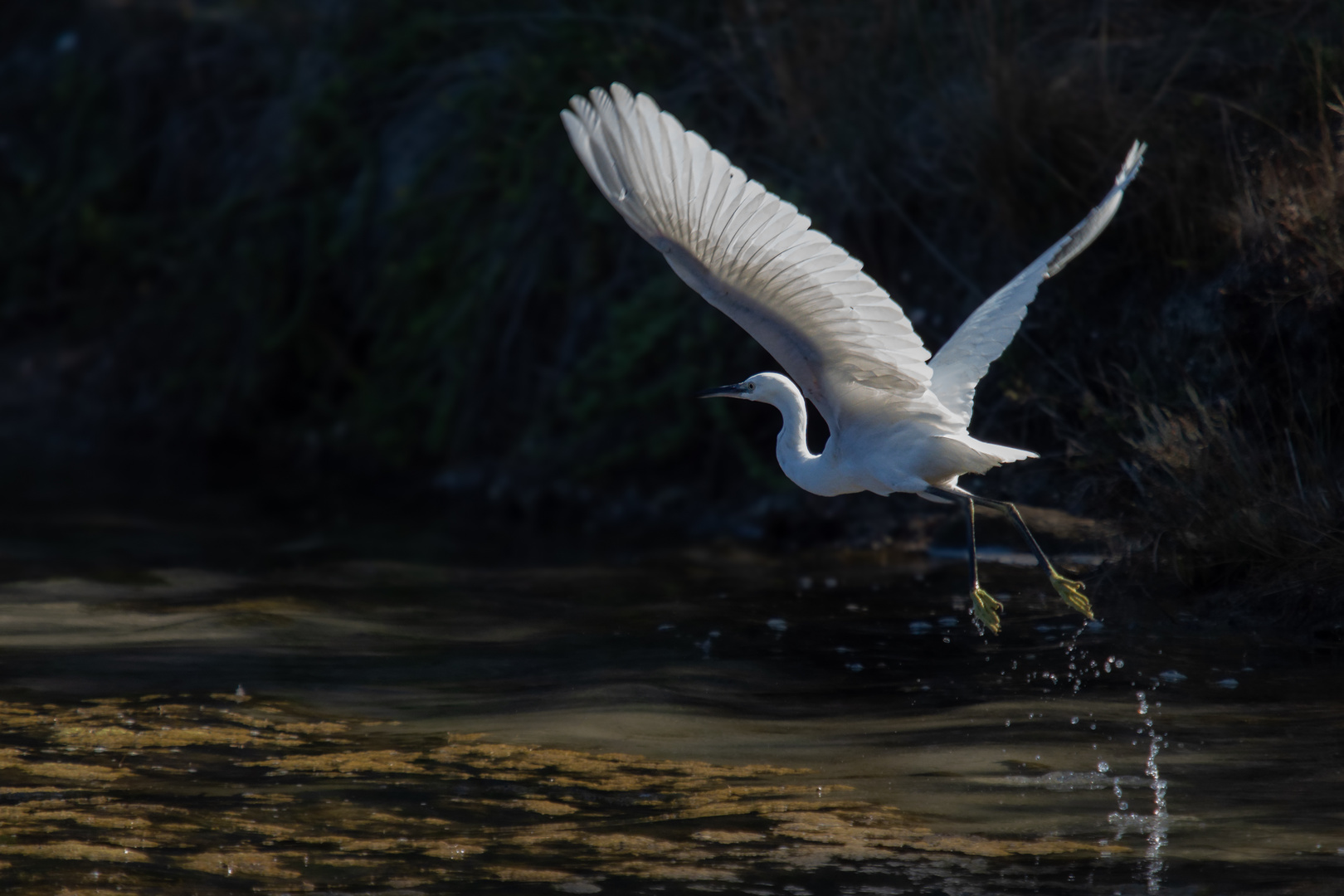 Den Abflug machen …