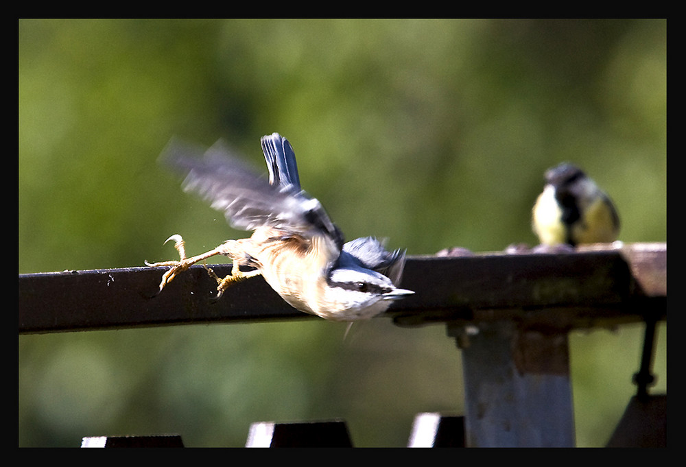 Den Abflug muß ich noch üben