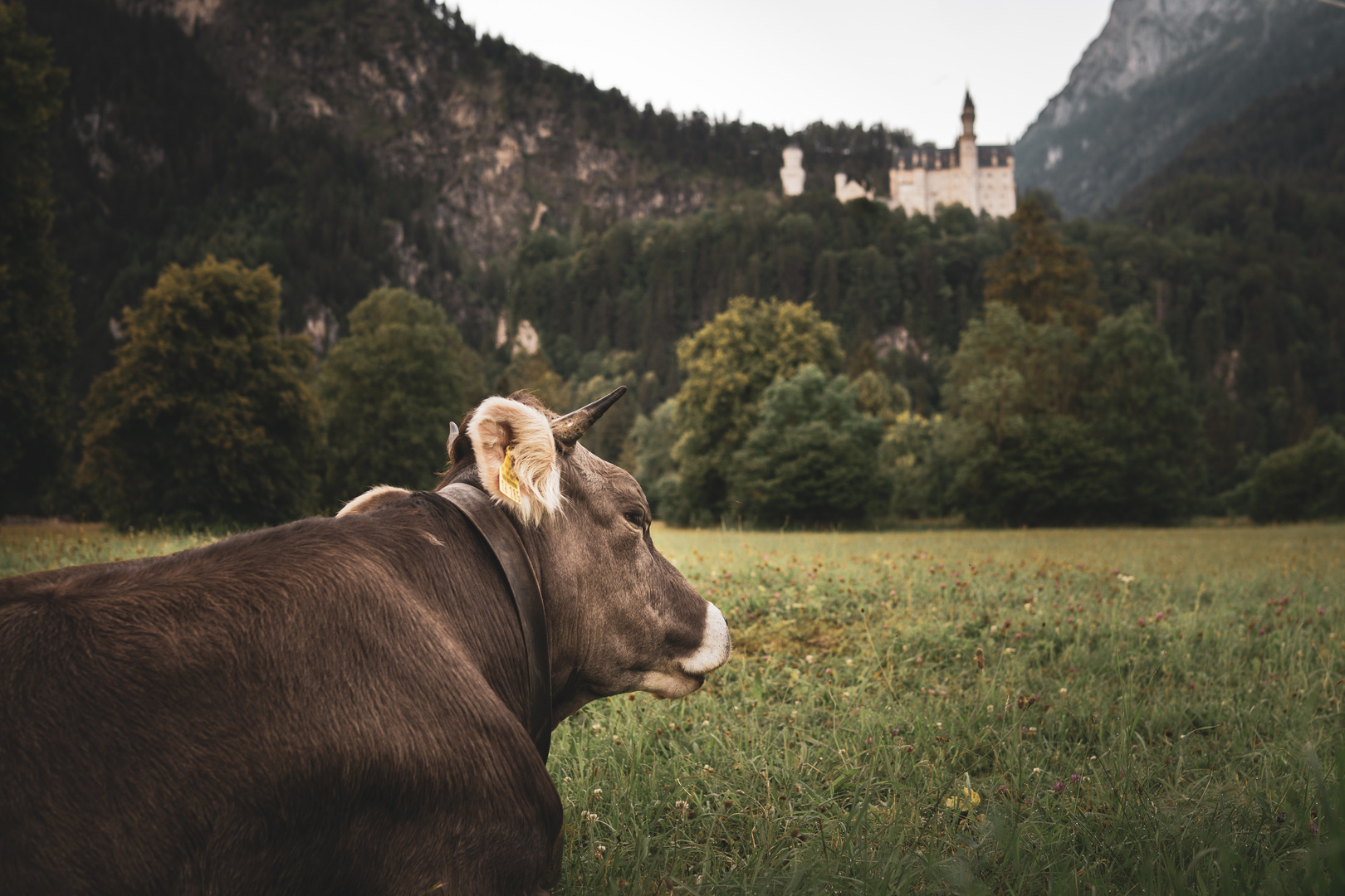 Den Ausblick genießen....