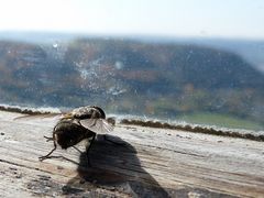 Den Ausblick genießen