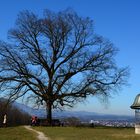 Den Ausblick genießen in Maria Plain