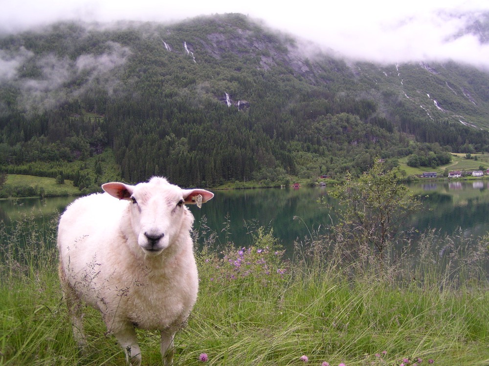 den Ausblick hab ich jeden Tag...