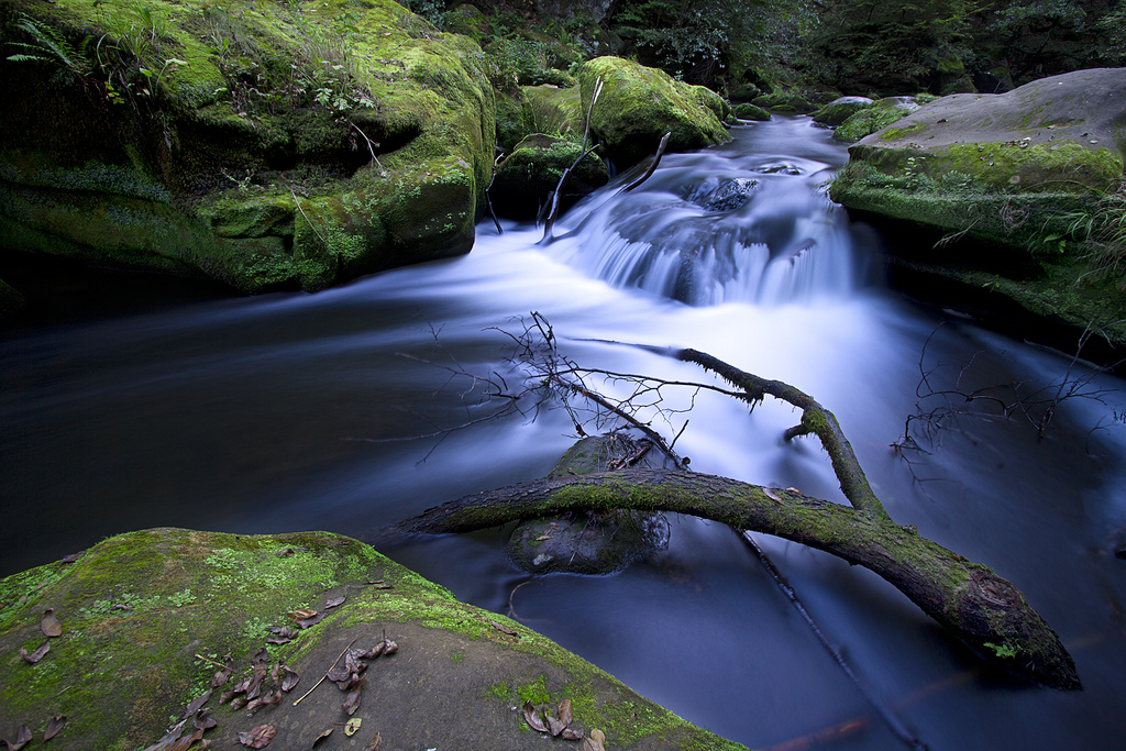 Den Bach runter