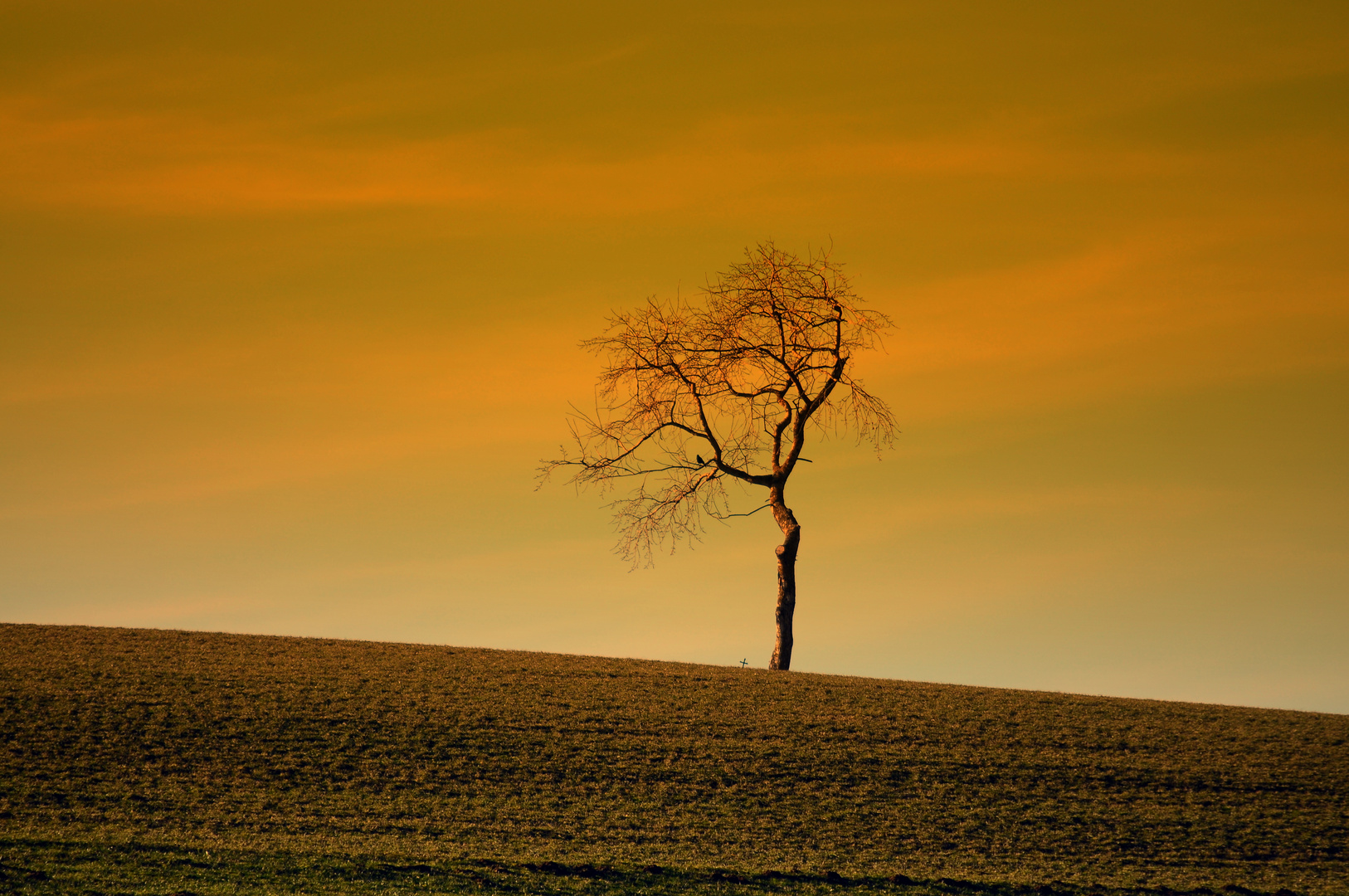 Den Baum gibts schon 2x in der Community