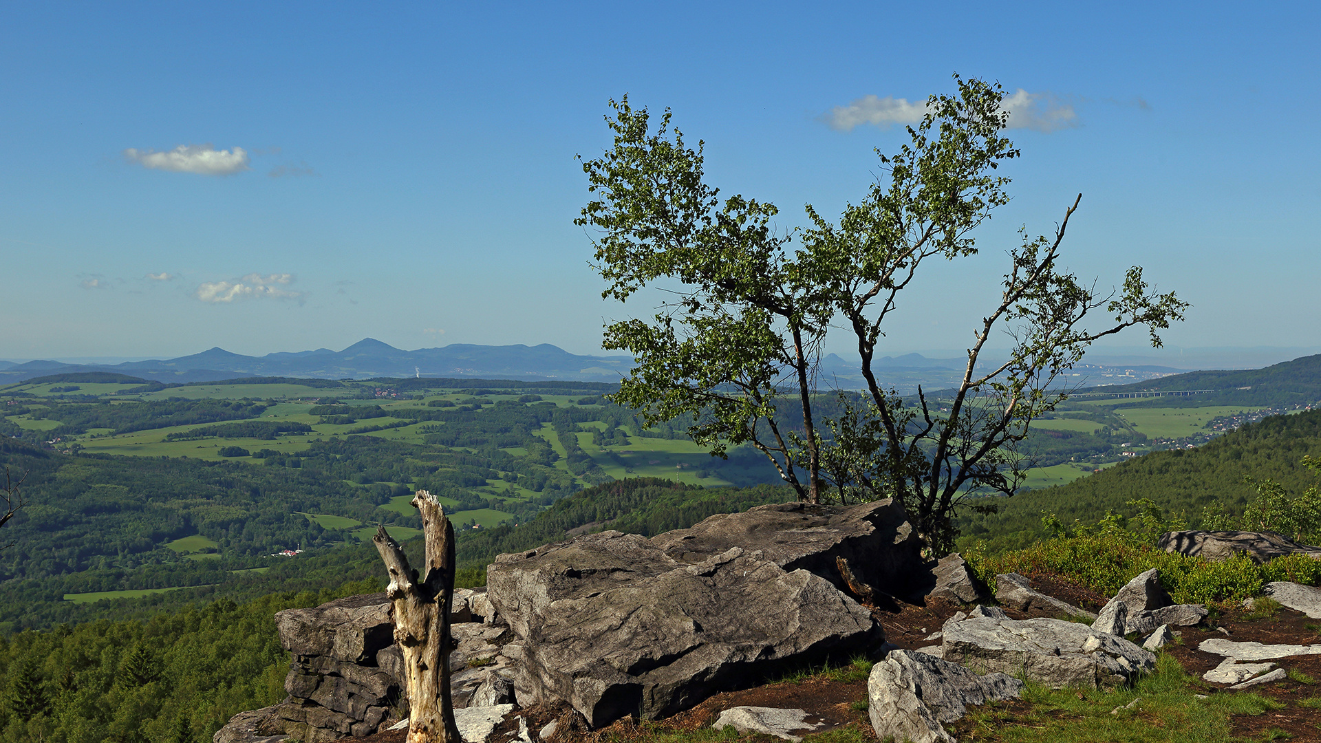 Den bekannten Berg Boren bei Bilina zwischen die Baumstämme genommen...