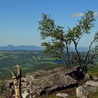 Den bekannten Berg Boren bei Bilina zwischen die Baumstämme genommen...