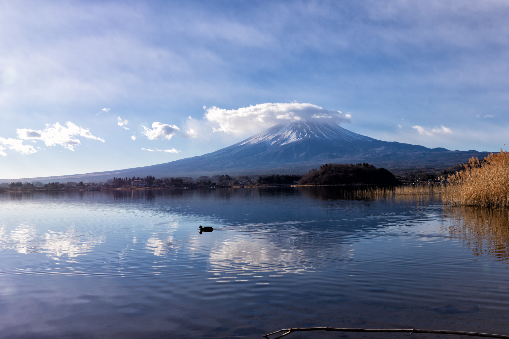 den Blick auf den Fuji gerichtet