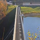 Den Blick auf die Staumauer ohne Zweige gab es nicht...am zuwachsen !